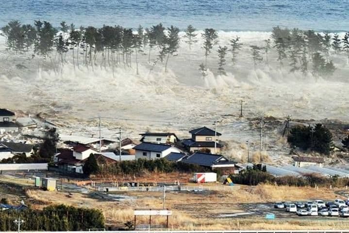 Saat Sirene Tsunami Berbunyi: Jangan Panik, Ini Langkah Nyata yang Bisa Selamatkan Keluarga Anda